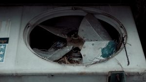 How Clean or Updated Does My House Need to Be to Sell in 2026?